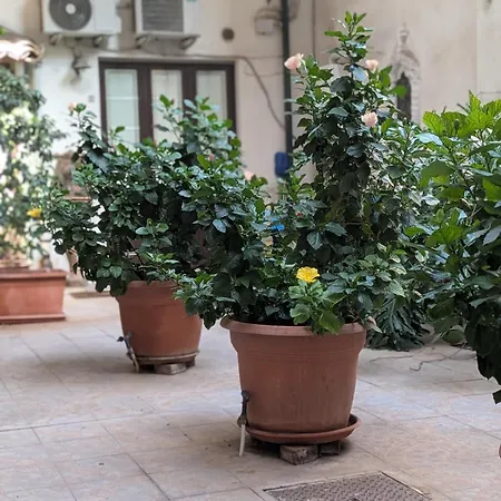 Bellini Space 3 *